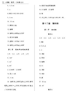 八年级上册青岛版数学配套练习册答案