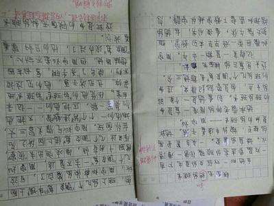 我的小伙伴六年级作文 我的小伙伴六年级作文400字