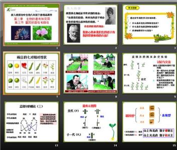 遗传与变异 2017年高考生物遗传和变异结论性语句