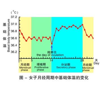 月经周期短是什么原因 月经周期短是什么原因_月经周期短的原因