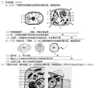 高一生物细胞器 高一生物走近细胞综合测试题