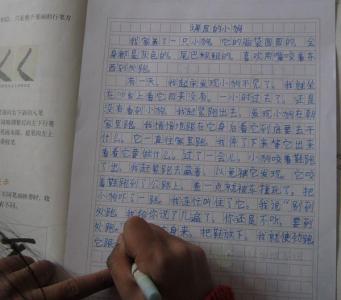 感谢母校作文600字 我想对母校说初一作文600字4篇