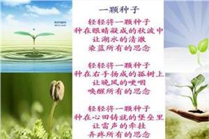 现代诗歌节奏划分 现代诗歌的朗诵技巧方法