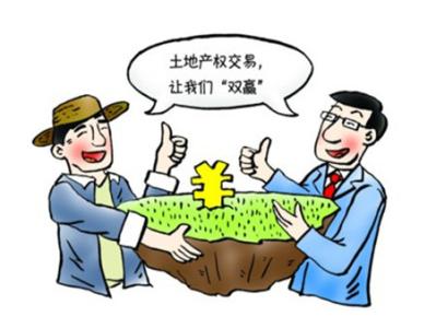 土地使用权价格评估 土地使用权评估的原则指什么？土地使用权的评估程序