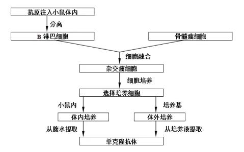 生物选修三知识点归纳 高二生物选修易考知识点归纳