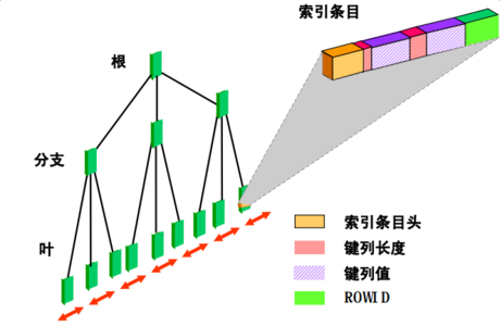 索引有什么优缺点 什么是索引 索引的优缺点