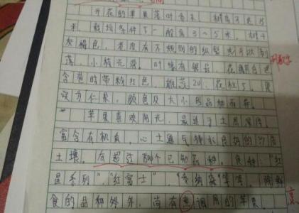 描写物品的作文400字 说明文作文400字物品_关于描写物品的说明文400字