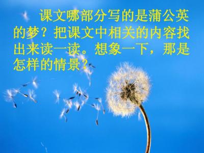 蒲公英教学反思 《蒲公英的梦》教学反思