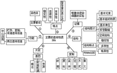 高中生物学学习方法介绍