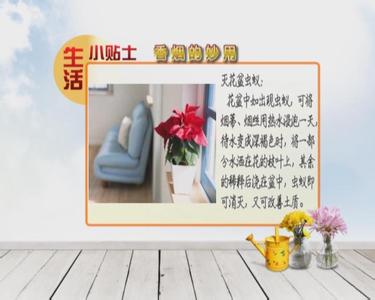 汽车保养小贴士 生活小贴士 家具保养小窍门