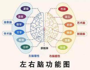 右脑开发训练方法 开发右脑的小方法