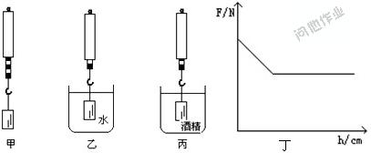 初二下册物理《探究影响浮力大小的因素》练习试题