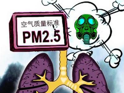 pm2.5作文 写关于pm2.5的文章，关于pm2.5的作文