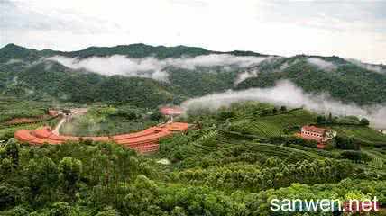 梅州雁南飞茶田景区 梅州雁南飞风景区导游词