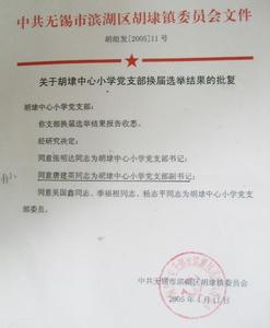 党支部换届选举的请示 党支部请示关于换届选举范文合集