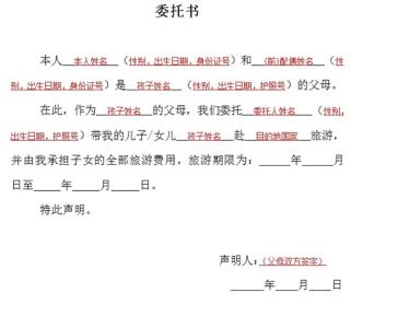 代办签证委托书模板 代办委托书模板4篇