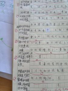 小学生五年级反思作文 自我反思的学生作文