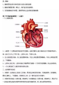 七年级生物下册重点 七年级下册生物知识点归纳