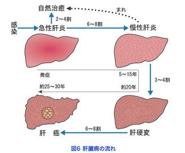 肝炎用药 肝炎患者如何用药 肝炎患者的用药方法