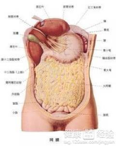 屁多是什么原因造成的 肠鸣屁多是什么原因造成