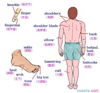 学生单词图像记忆法 小学英语单词图像记忆法