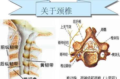 颈椎病有哪些病因 颈椎病有哪些常见的病因