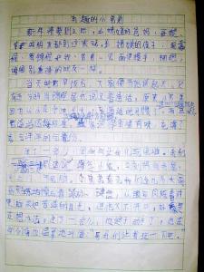 春节作文300字三年级 三年级学生春节作文300字