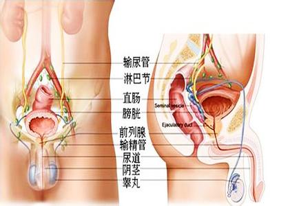 尿路结石形成的因素有 结石形成的因素 结石如何治疗