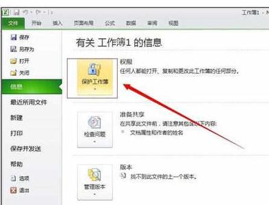 excel2010密码破解 Excel中2010版本进行设置密码的操作方法