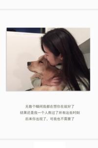 唯美幸福爱情语录大全 唯美文字爱情语录大全