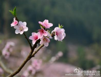 春季健康小常识 春季小孩健康小常识