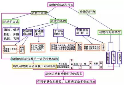 高二生物知识点 高二生物人体的稳态重要知识点总结