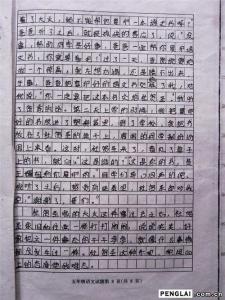 毕业作文初中800初三 我们初三毕业了作文800字精选4篇