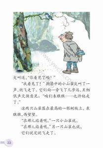 山雀课文 课文《山雀》反思总结