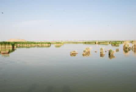 沙湖导游词 沙湖导游词四年级