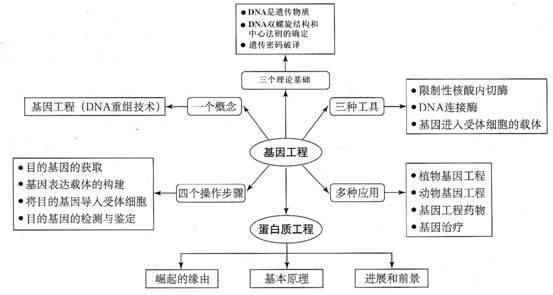 高二生物知识点总结 高二生物基因工程知识点总结