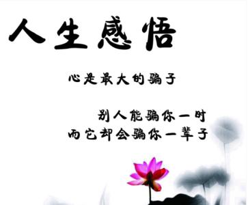 经典句子 人生感悟 感悟人生的经典格言句子