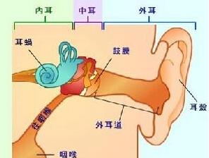 影响价值观形成的因素 结巴怎么形成的 影响治疗结巴的因素