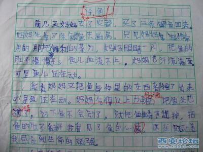 励志类中考满分作文 中考励志600字作文日志