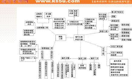 高中生物知识点2017年 2017高考生物基因的表达知识点