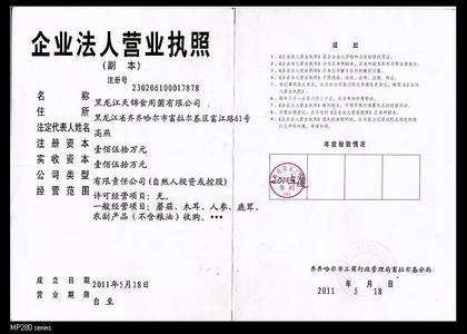 一个人办两个营业执照 办营业执照的租房合同和法人得是一个人