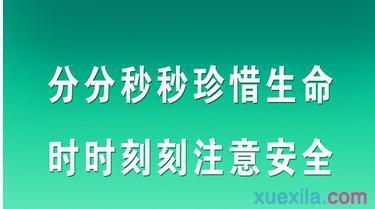 电力安全生产演讲稿 电力企业关于安全的演讲稿