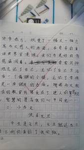 庆祝元旦 庆祝元旦的感想作文500字，庆祝元旦的感想作文500字精选