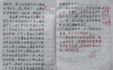 读书心得一百字 给教师的一百条建议读书随笔_给教师的一百条建议读书心得