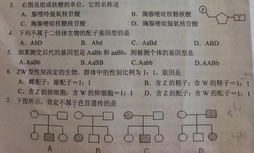 高一物理第二学期期末 高一生物第二学期期末学情调研测试及答案