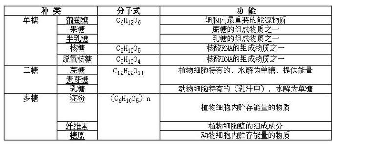 高中生物脂质专题 高中生物糖类和脂质知识点