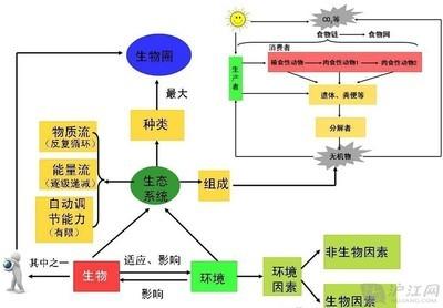 思维教授 思维训练《生物教授》