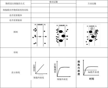 高一数学必修1 高一生物必修1物质的跨膜运输测试试题