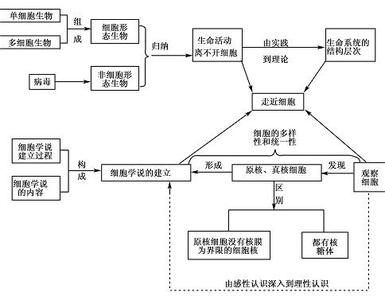 高一生物走近细胞单元练习题