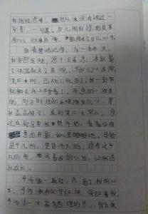 给母亲的一封信600字 给母亲的一封信600字5篇